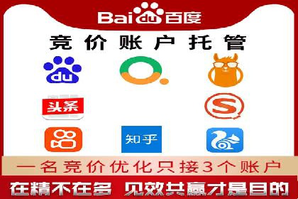 SEM搜索引擎优化成功案例，揭示优化策略与技巧